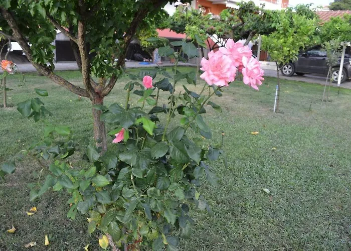 K Santis * Pefki (Evia)